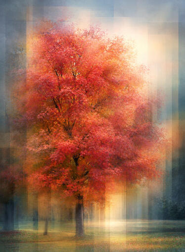 Layers of fall Layers of fall